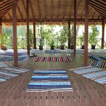 Hospederia Rural Aldeaduero בית כפרי *