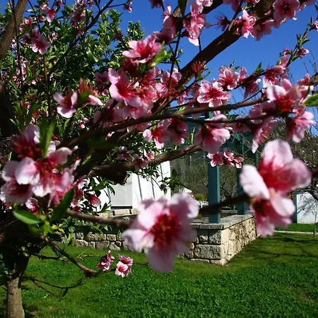 Hospederia Rural Aldeaduero Saucelle