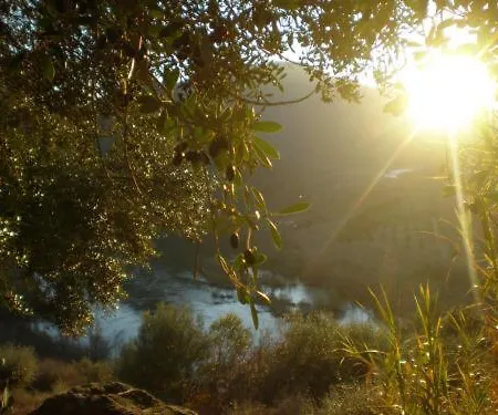 Hospederia Rural Aldeaduero בית כפרי *