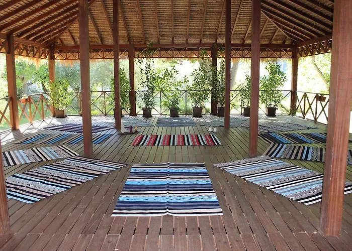 Hospederia Rural Aldeaduero 컨트리하우스 *