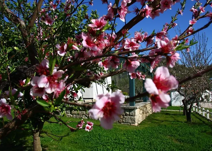 Hospederia Rural Aldeaduero 사우첼레