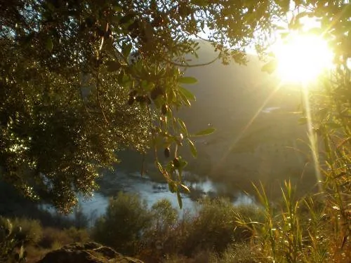 Hospederia Rural Aldeaduero 컨트리하우스 *